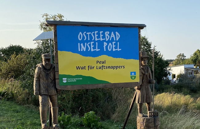 Ostseemuschel - Foto 17