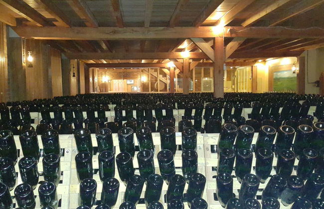 Escursione a Pinto Bandeira - Foto 7