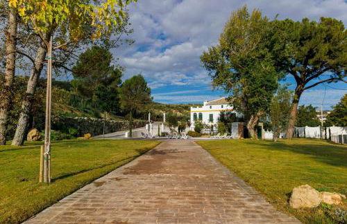 Finca las Pecas - Foto 10