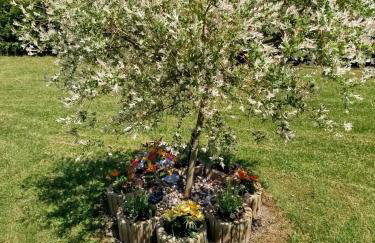 PRZYSTAŃ NAD BOBREM z Balią i Sauną - Foto 48