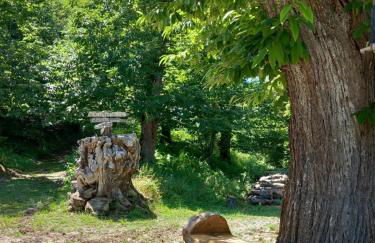 Casale immerso nella natura - Photo 26