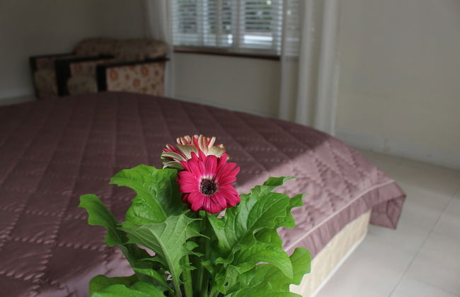 Des Ami Villa - Foto 14