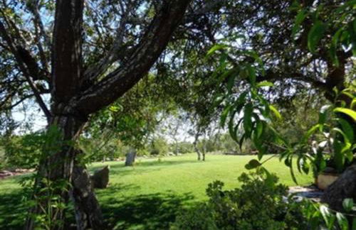 Quinta do Julião - Foto 11