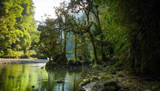 The perfect spot for hiking