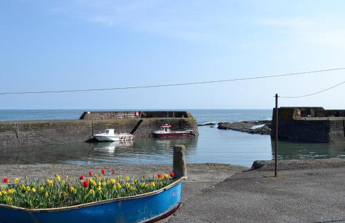 Harbour View - Photo 4