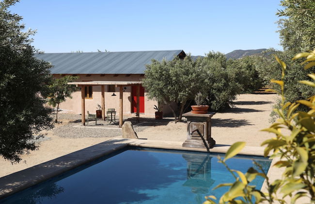 Alma Liebre Viñedos del Valle - Foto 54