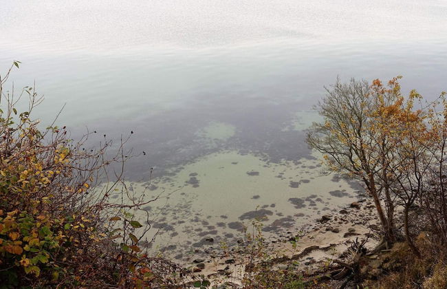 6 Person Holiday Home-by Traum - Foto 24