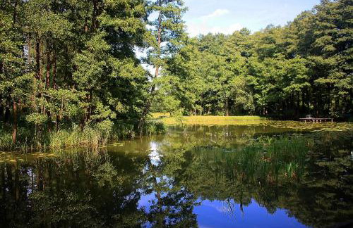 Dom wakacyjny w Kiersztanowie Ładnie Tu - Foto 55