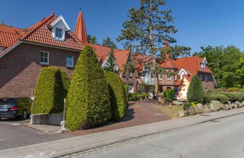 Nachtkerze - Foto 15