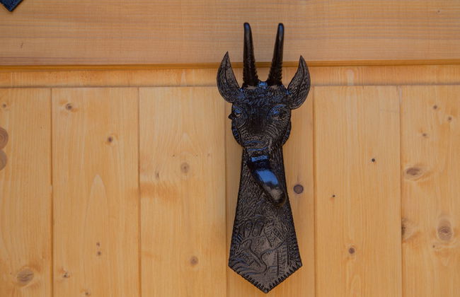 Koca Bistra - Velika planina - Foto 57