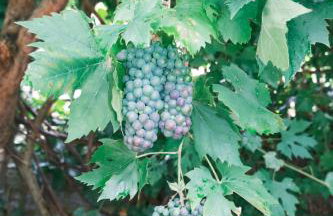 Artsy & bright Hammersmith London 1b1b, up to 4 people - Foto 32