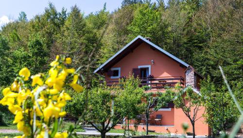 Forest Escape - Foto 5