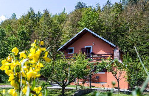 Forest Escape - Foto 5