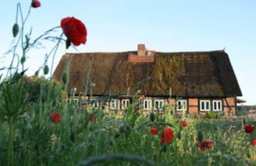 Haus an Fluss und See - Foto 46