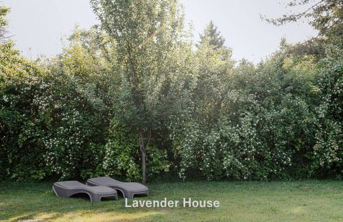 Lavender House - Foto 29