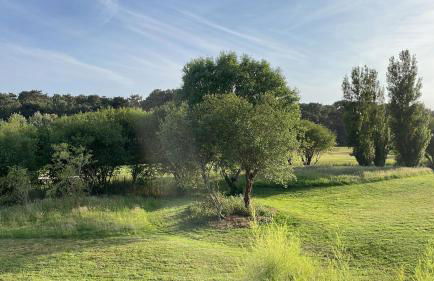 Très jolie maison sur golf proche mer - Foto 9