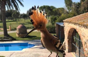 Hotel & Golf Ca La Caputxeta - Adults Only - Foto 30