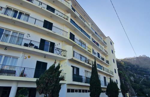 Ina's Garden in Santa Cruz - Foto 3