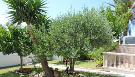 Homing Cambrils 23 - Foto 4