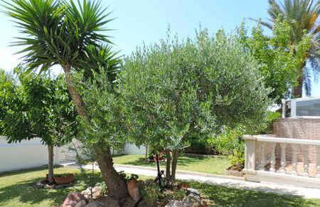 Homing Cambrils 23 - Foto 4