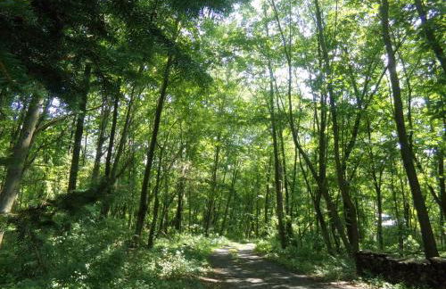 Copake Lakes Hidden Treasure - Foto 35