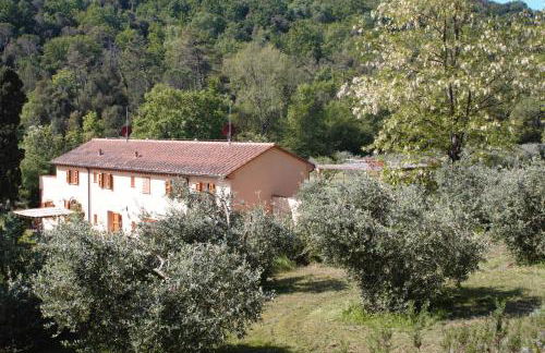 mulino della rivolta - Foto 59