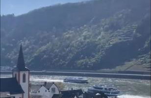 Blick auf den Rhein - Foto 55