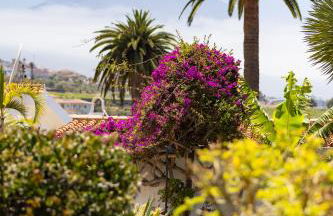 Home2Book Amazing La Palmita Suite - Foto 6