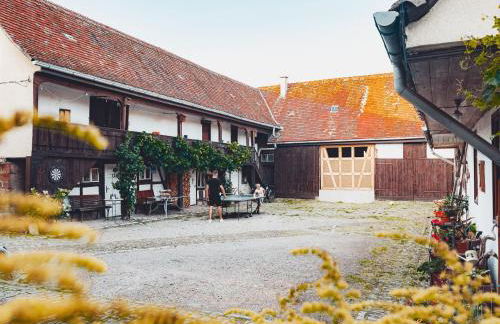 Ferienwohnung Brühler Hof - Photo 1