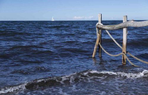 Traumlage-Maasholm - Foto 13