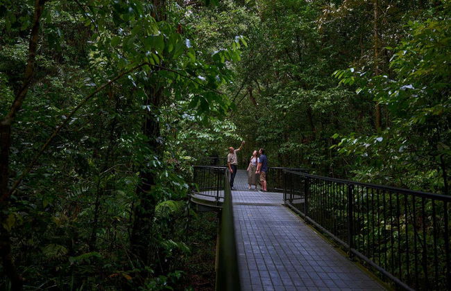Escursione a Daintree, Mossman Gorge e Cape Tribulation - Photo 6