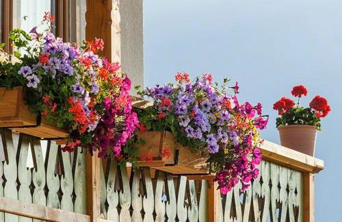 Ferienwohnung Roislerlehen - Foto 10