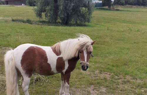 Two separate farmhouse apartments under one roof - Foto 39