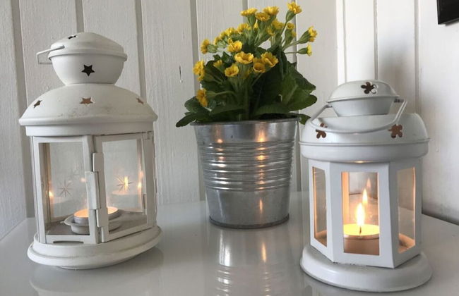 Hein Muck Modern Retreat - Photo 26