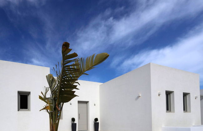 Angels Estate - Foto 50