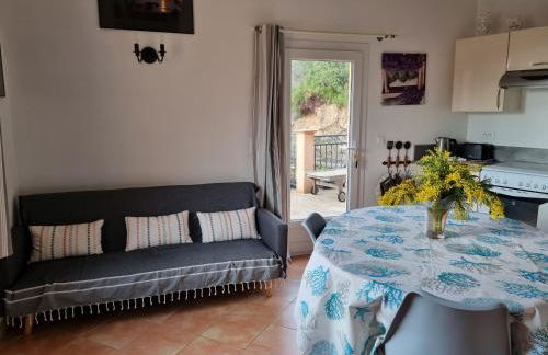 coustelline - Foto 9