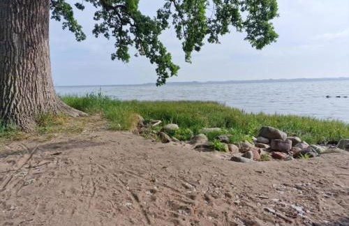 Cozy Apartment With Garden - Foto 59