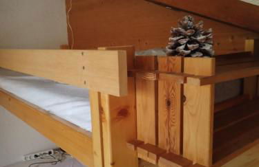 Appartement 8 couchages 45 m2 tout confort à la foux d'allos - Foto 6