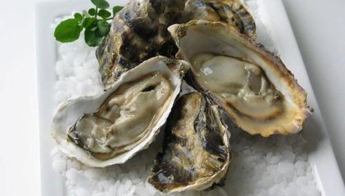 Les Ilous proche mer - Foto 2