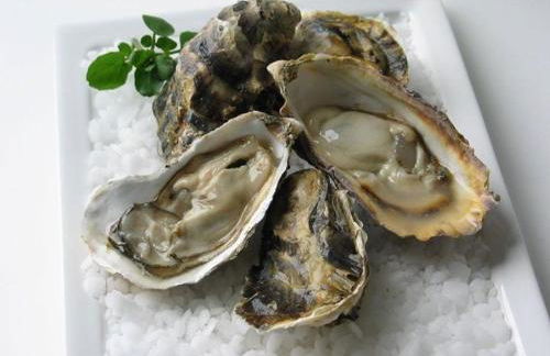 Les Ilous proche mer - Foto 2