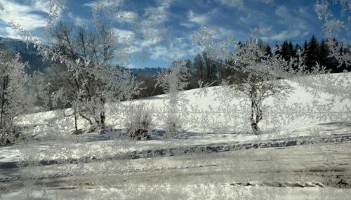 Gästehaus Hausenbauer - Foto 3