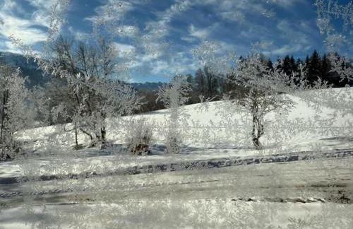 Gästehaus Hausenbauer - Foto 3