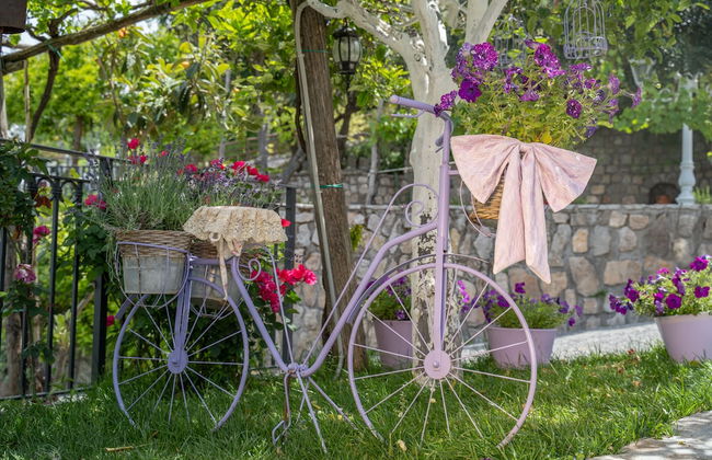 Agriturismo Villa Palmentiello - Foto 27