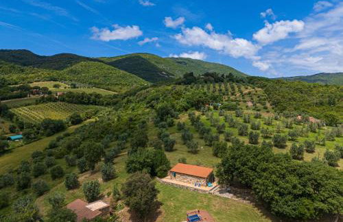 Poggio Diavolino - Suvereto - Foto 15