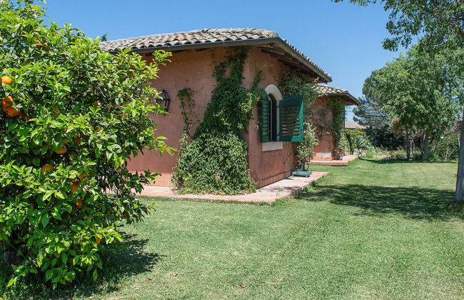 Tenuta San Calogero - Foto 66