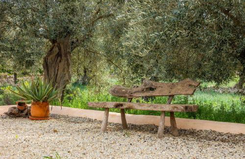 Ca na Barons - Foto 38