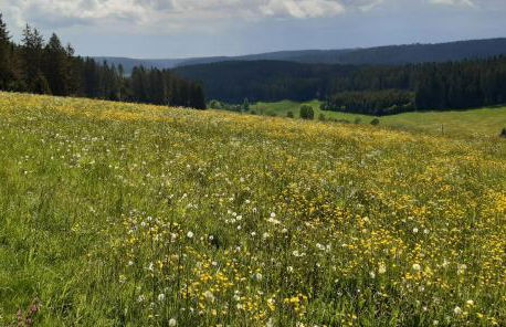 Oberengenbachhof - Foto 7