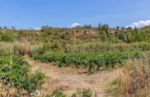 Villa in St Denis with Pool & Pyrenees View - Foto 23