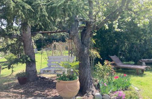 ChezMathilde à LIMOUX - Foto 13