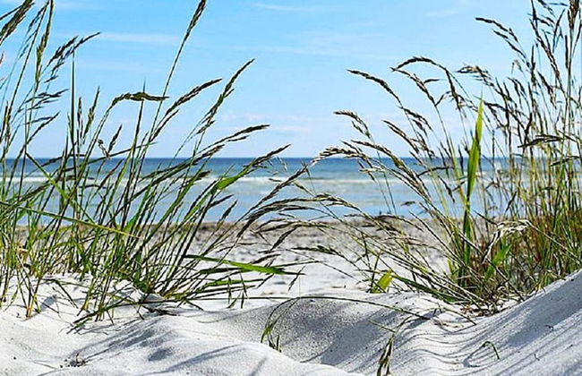 9 Person Holiday Home in Solvesborg-by Traum - Photo 17